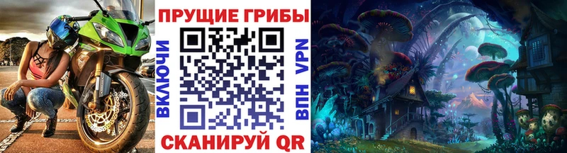Галлюциногенные грибы GOLDEN TEACHER  купить закладку  Петров Вал 